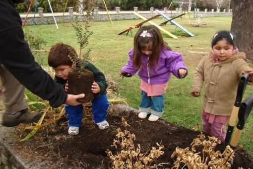 Los niños del Jardín contribuyen a la forestación del