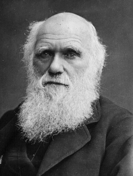 La selección natural Charles Darwin (1809-1882) propuso que el propio medio natural selecciona a