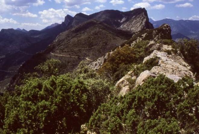 Domini mediterrani Clima mediterrani d alta muntanya Localització geogràfica: variant influenciada per l altitud, localitzat en el Prepirineu lleidatà, part baixa de la Cerdanya, el Berguedà,
