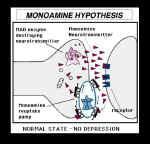 de neurotransmisión, principalmente la serotonina y la noradrenalina, pero también la dopamina