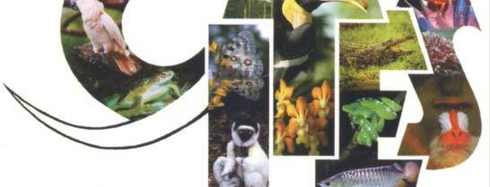 ConvenciónS obre el C omercioi nternacional de Especies Amenazadas de Fauna y Flora Silvestres En 1975 CITES