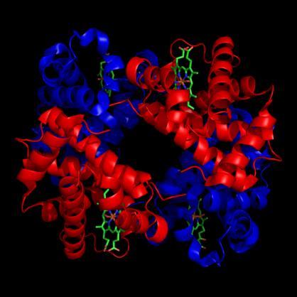 Aquesta estructura és característica de proteïnes complexes, com enzims i anticossos. Figura 8:Estructura quaternària (https://temasdebioquimica.wordpress.com) 3.