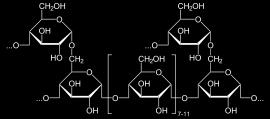 3.2.3 POLISACÀRIDS (carbohidrats complexos): Són glúcids compostos per molts monosacàrids units per enllaços O-glicosídics. No tenen gust dolç, no són solubles en aigua i no són reductors.