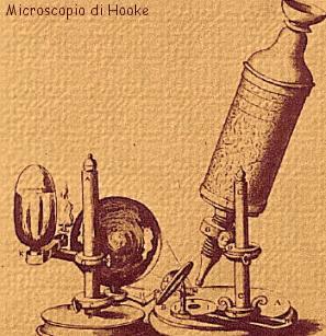 3ra etapa: siglo XVI (Renacimiento) 1600: Invención del microscopio