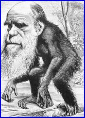 LA EVOLUCIÓN Y LA REVOLUCIÓN DARWINIANA Desde Aristóteles hasta Lamarck y el Transformismo Darwin (1809-1882)