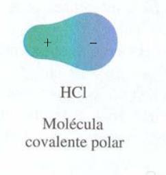 Moléculas polarizadas Enlace covalente Molécula diatómica Será polar si