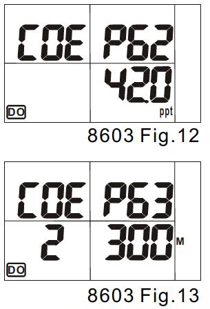 P60 REVISIÓN OD Y AJUSTE DE PARÁMETROS SELECCIONABLE Presione el botón hacia arriba o hacia abajo en el modo de ajuste para ingresar a la pantalla COE P60 (Fig. 10).
