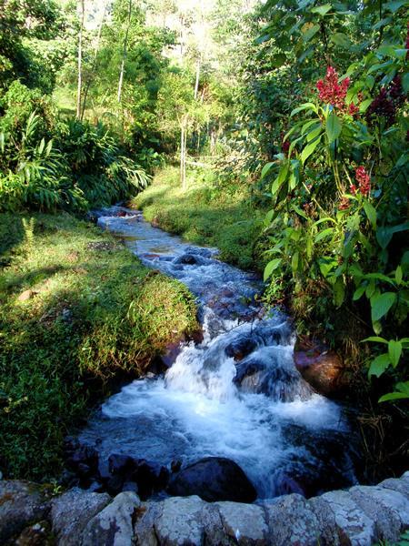 Energia renovable RB Agua y Paz (Costa Rica) - Cooperativa de Electrificación Rural de San Carlos Recuperación y protección ambiental y de la