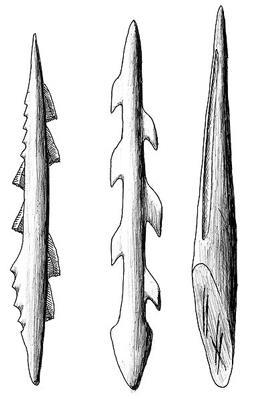 1. Paleolítico Con hueso fabricaban punzones, puntas de lanza,