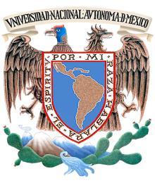 UNIVERSIDAD NACIONAL AUTÓNOMA DE MÉXICO FACULTAD DE INGENIERÍA ESTUDIO GEOFÍSICO DE