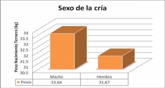 Gráfico 3. Efecto del sexo de la cría sobre el peso al nacer. 3.7.
