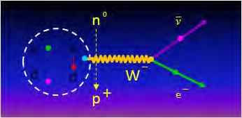 La interacción electro-débil Ejemplo: la desintegración del neutrón Conversión de un quark u