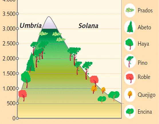 altitud: cultivos, bosques de hoja caduca,