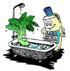 HORTS ESCOLARS (III) Els vegetals que es consumeixen en cru han d estar net i desinfectats.