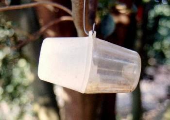 Trampa Sensus (SE) Descripción general La trampa Sensus consiste en un cilindro (o cubeta) plástico vertical de 12,5 cm de alto y 11,5 cm de diámetro (Figura 14).