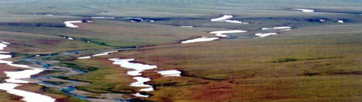 La taiga o bosque boreal compone la mayor masa