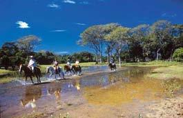 br Pousada situada en una de las regiones más interesantes por su naturaleza del Pantanal, a 10km de Pocone y con 7000