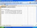 Excel en Microsoft 2007 XP, Presentación