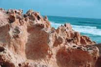 GUÍAS DE ITINERARIOS DIDÁCTICOS POR LOS ESPACIOS NATURALES DE LA REGIÓN DE MURCIA Paleodunas de Calblanque, cien mil años de historia entre arenas Hace unos cien mil años el nivel del mar estaba
