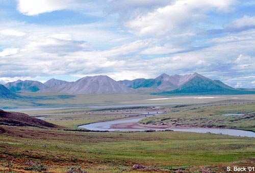 Consecuencia del aumento de la temperatura global sobre los ecosistemas árticos Los ecosistemas árticos consisten en áreas de permanente desierto helado y grandes áreas de vegetación sin árboles,