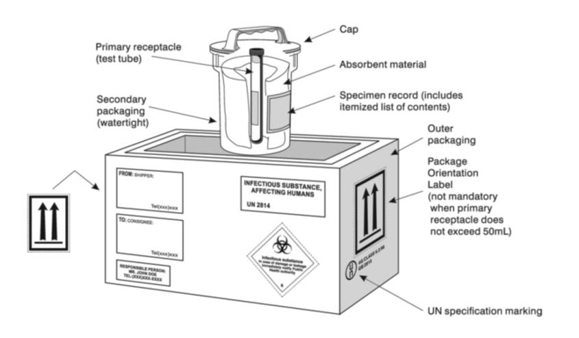 5.4.1. Sistema básico de envasado triple: El sistema básico de envasado tripe se deberá utilizar para transportar todas las sustancias infecciosas.