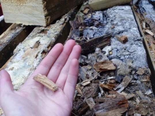 xilófagos, humedades) en elementos de madera: localización y