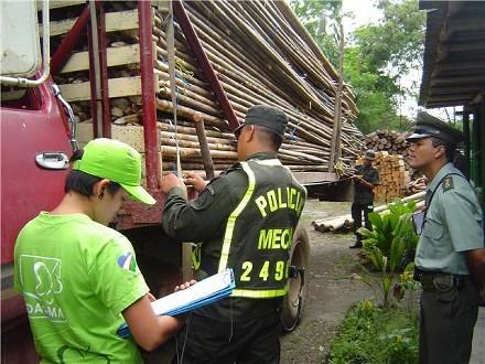 Degradación- Tala ilegal Equivale al 42% del total de madera utilizada (Banco Mundial, 2006).