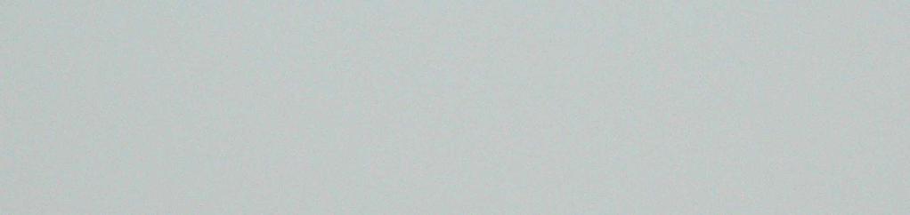 MOVIMIENTOS POR ESPECIE, FECHAS Y Nº MÁXIMO: Cormorán Grande (Phalacrocorax carbo): 4 aves, las primeras aves el 24 de Octubre y la