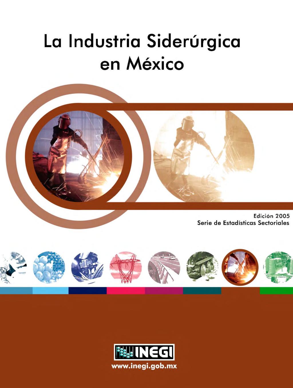 La Industria Siderúrgica en México Edición 2005 Serie