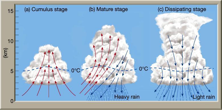 El clima TIPOS DE PRECIPITACIÓN Precipitaciones de origen orográfico - PDF  Descargar libre