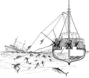 Aparejos Tipos Acción Profundidad de pesca Capturas habituales Líneas verticales (mecanizadas) Activa