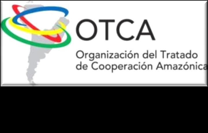 Coordinador Salud OTCA Antonio