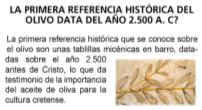 Oleícola i els nous sistemes de plantació Juan Fco.