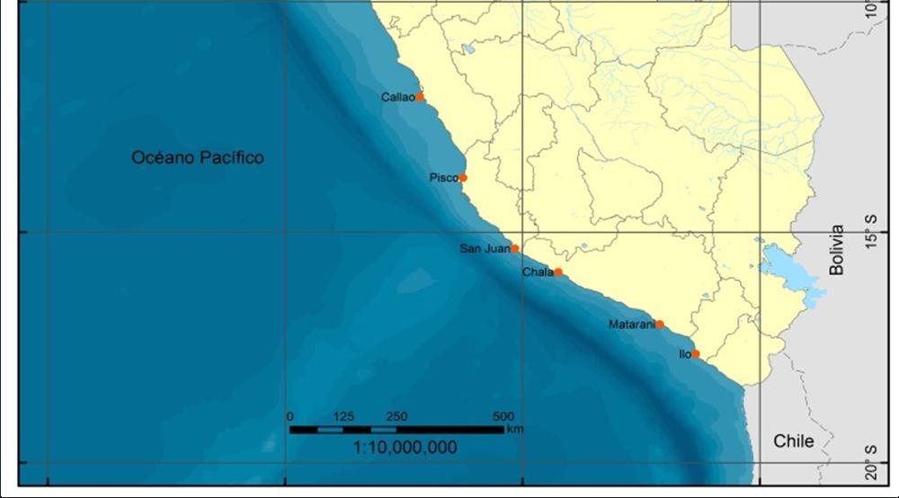 estaciones ubicadas a lo largo del litoral peruano, con sensores tipo radar, que transmiten en tiempo casi real, vía línea telefónica, permitiendo detectar y confirmar la presencia de un tsunami en
