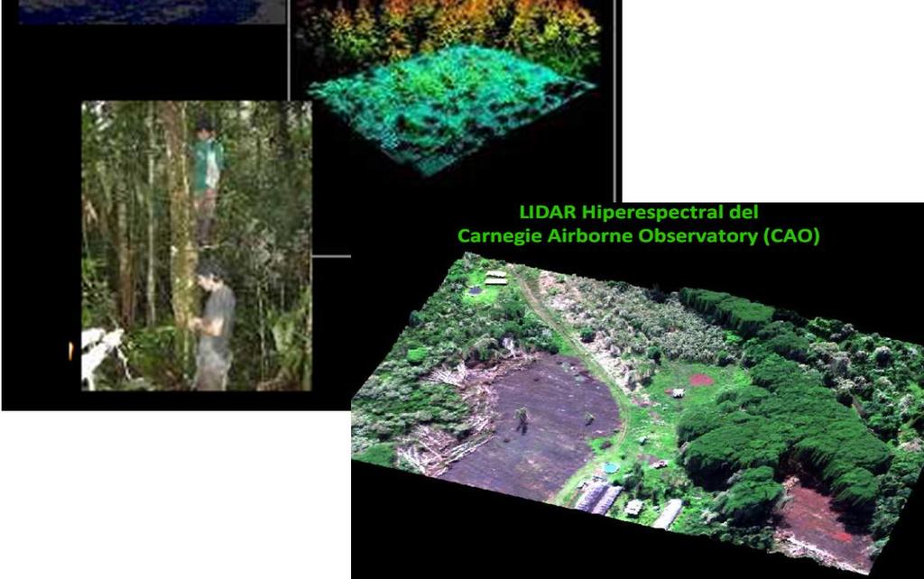 Esta tecnología, puede ser usada: generar modelos digitales del terreno, estimación de reservorios de biomasa de