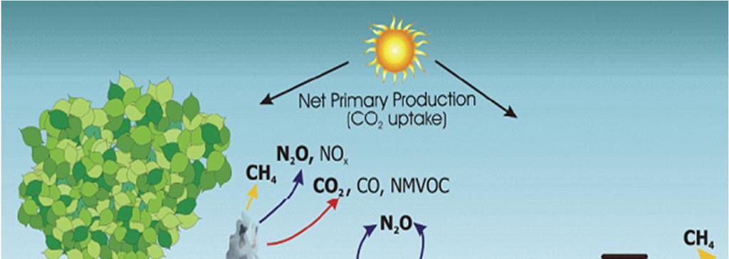 Marco conceptual (2/7) Gases Efecto Invernadero - CO2 (Dióxido de carbono) - Captura