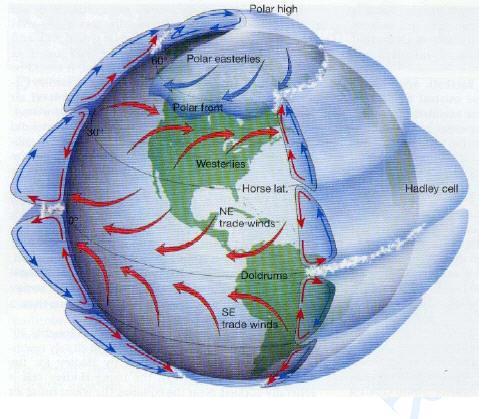 CIRCULACIÓN GENERAL DE LA ATMÓSFERA Célula polar (N) Célula de las latitudes