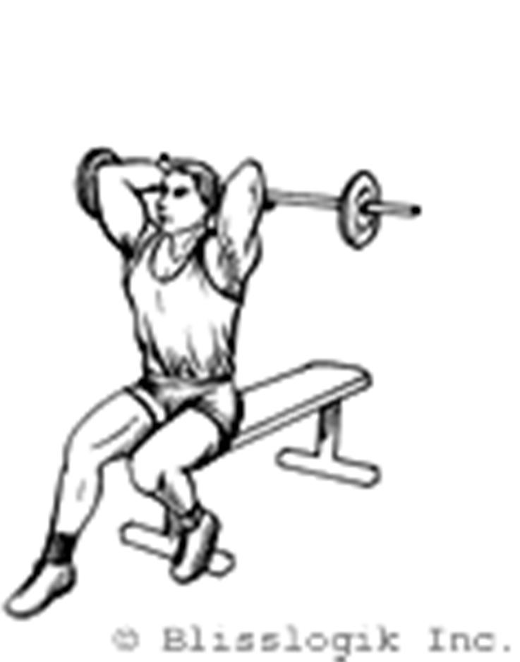El ejercicio con barra Flexiones de Bíceps Parado trabajará tus bíceps y el denominado Extensiones de Tríceps Sentado se centra en tus