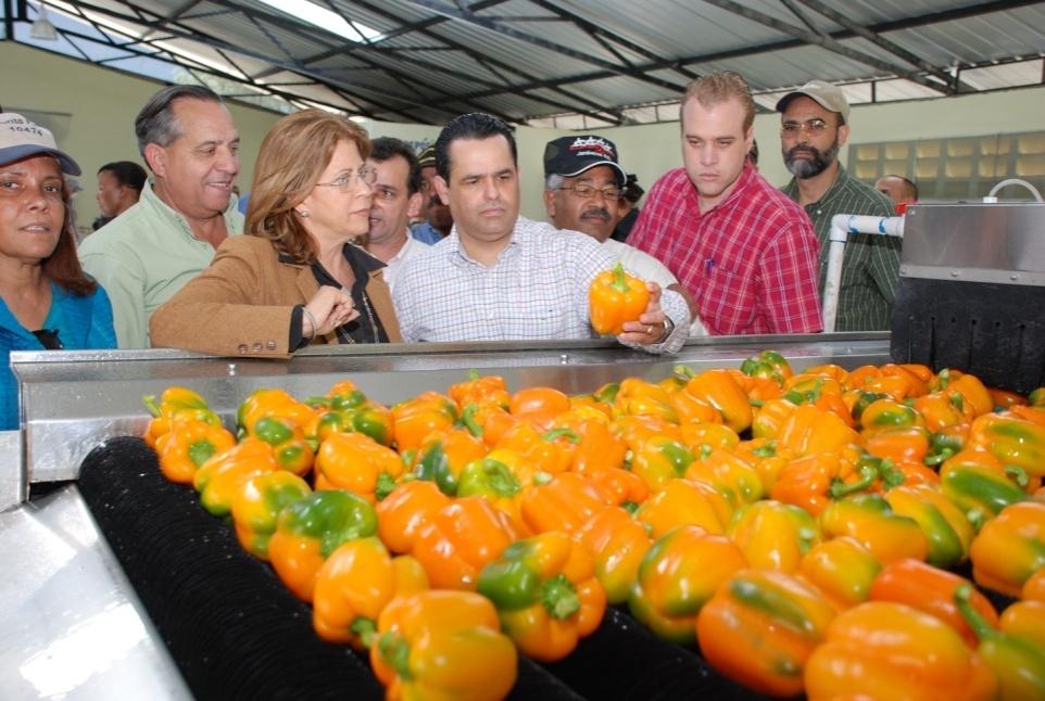 PRODUCCIÓN N BAJO AMBIENTE PROTEGIDO Análisis económico de la producción de vegetales en invernaderos de la