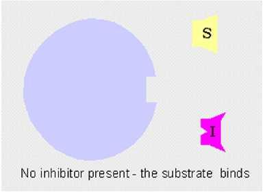 INHIBICIÓN COMPETITIVA El inhibidor se une a la enzima libre interfiriendo con la unión del sustrato Su efecto se