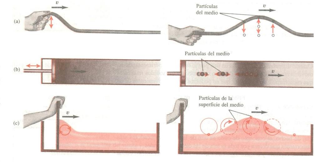Tipos de Ondas Mecánicas Figura I.1.