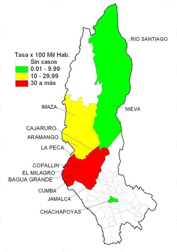 DENGUE: Departamento Amazonas 2013* Curva de casos de dengue en