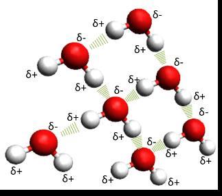 Las moléculas polares se alinean unas a respecto a otras, con el extremo negativo de una molécula y el extremo positivo