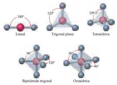 Geometría molecular La forma de una molécula AB n por lo regular se deriva de una