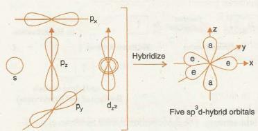 Orbitales híbridos sp 3 d Pentafluoruro de fósforo, PF 5 15P: 1s 2 2s 2 2p 6 3s 2 3p 3 3d 0
