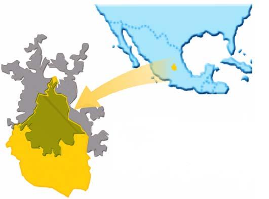 Números de la Ciudad de México Millones de habitantes (2007) PIB 2007 (MMD) PIB per cápita 2007 (USD) % PIB Nacional (2006) México ZMVM DF 105.8 1,025.0 9,688 100.0% 19.6 259.3 13,229 32.2% 8.8 171.