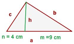 Teorema de la altura En un triángulo rectángulo, la altura relativa a la hipotenusa es media proporcional entre los 2 segmentos que dividen a ésta.