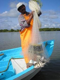 Pero la Pesca Artesanal involucra también diversos otros aspectos: El Medio Ambiente: El Artesano pescador