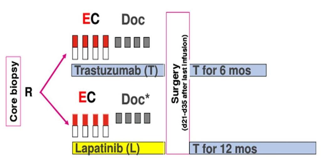 Tratamiento con lapatinib:geparquinto Lapatinib vs Trastuzumab in combination with neoadjuvant anthracycline-taxane-based chemotherapy:
