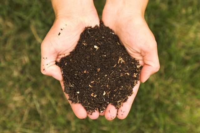 COMPOSTAJE: Proceso descomposición aeróbica (con oxígeno) de residuos orgánicos como restos vegetales, animales, excrementos y
